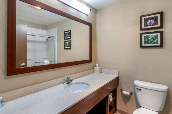 Comfort Inn & Suites Junction City - near Fort Riley image 15