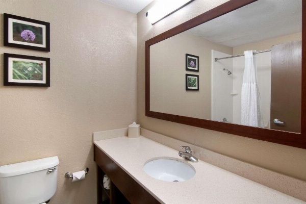 Comfort Inn & Suites Junction City - near Fort Riley image 16